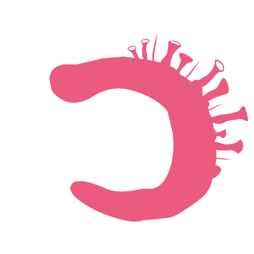 Informasjon om hepatitt c